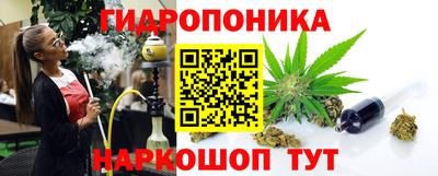 СК Шебекино